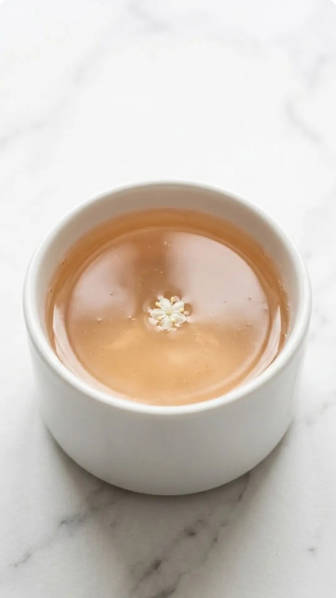 Holunderblüten-Rhabarber-Gelee frisch zubereitet — glasklares, hellrosa schimmerndes Frühlingsgelee im Glas
